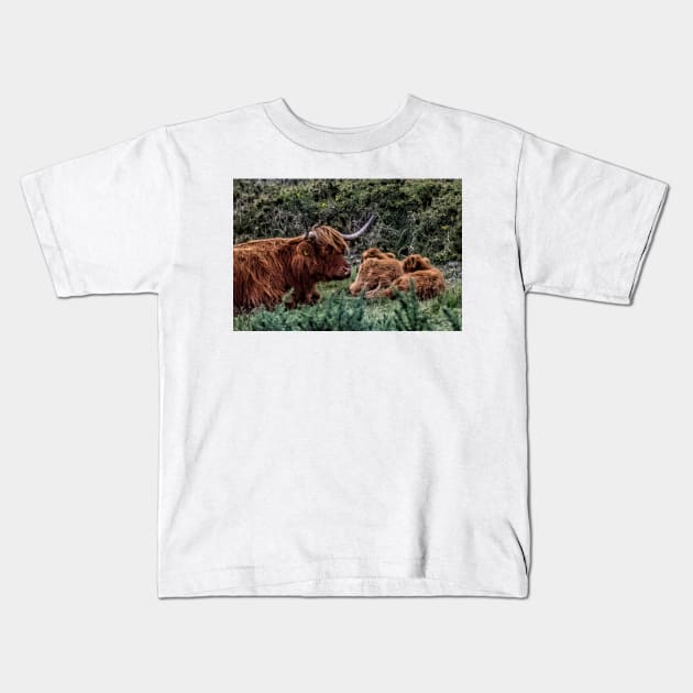 Dartmoor Highland Long Horned Cattle Kids T-Shirt by avrilharris